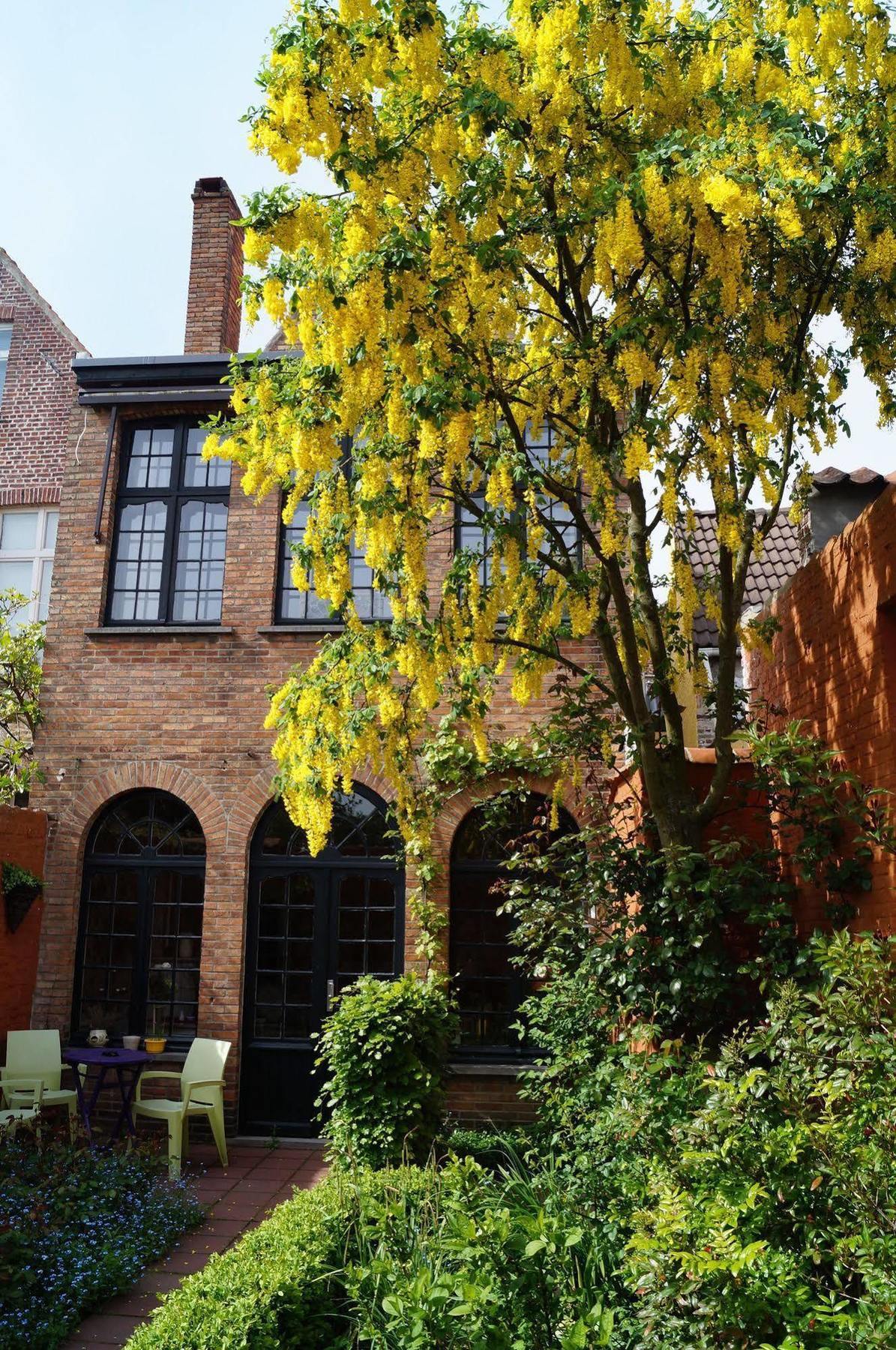 Bed & Breakfast Next Door 4*